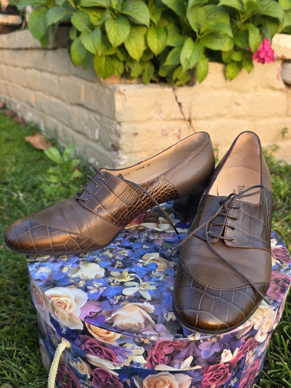 Taryn Rose Brown Croc-Embossed Leather Ankle Booties